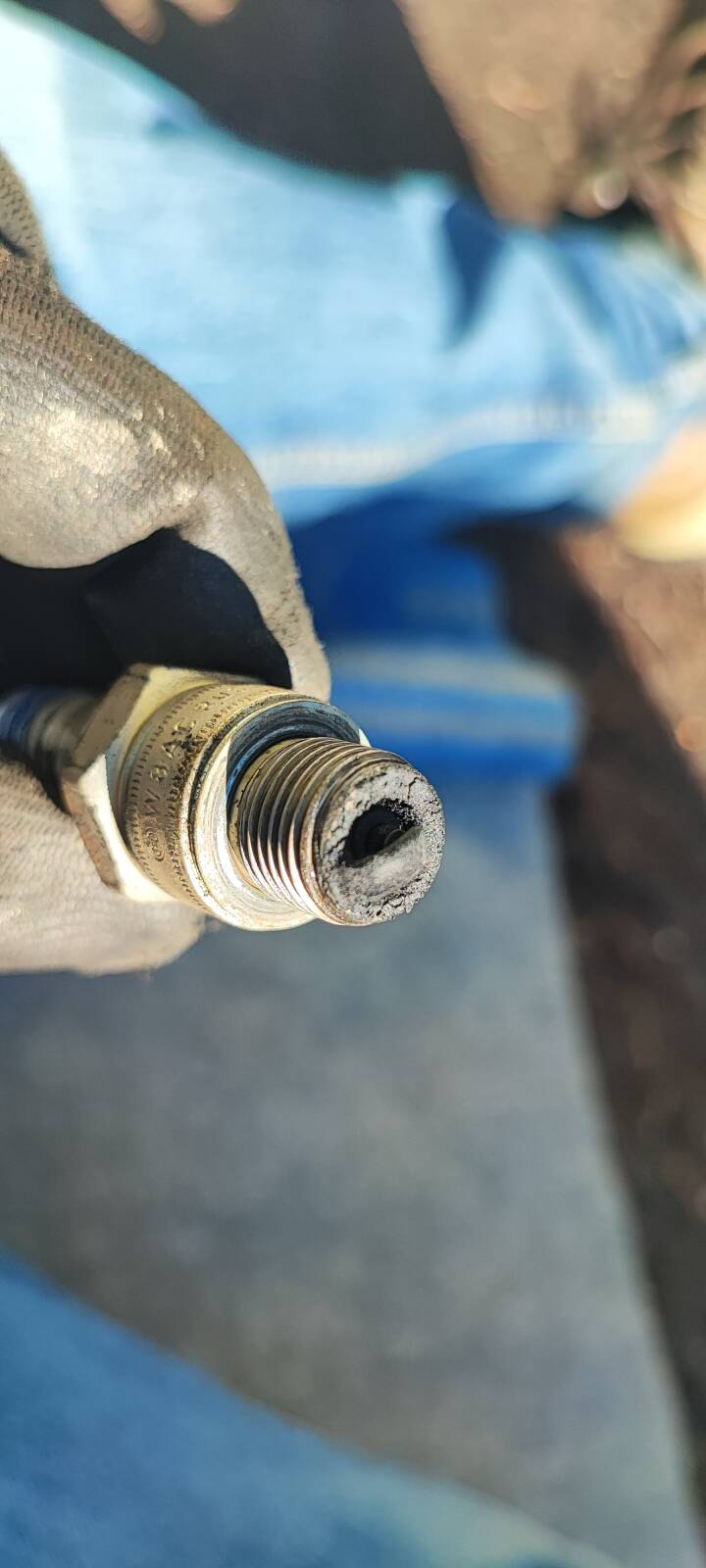 https://www1.garaget.org/gallery/images/38/37069/37069-0587615c9f40989ef3c45613fdcdcc1d.jpg