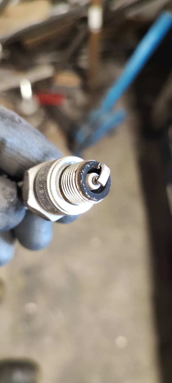 https://www1.garaget.org/gallery/images/38/37069/37069-2a30dd832142fa14fd9f385438be9fb8.jpg