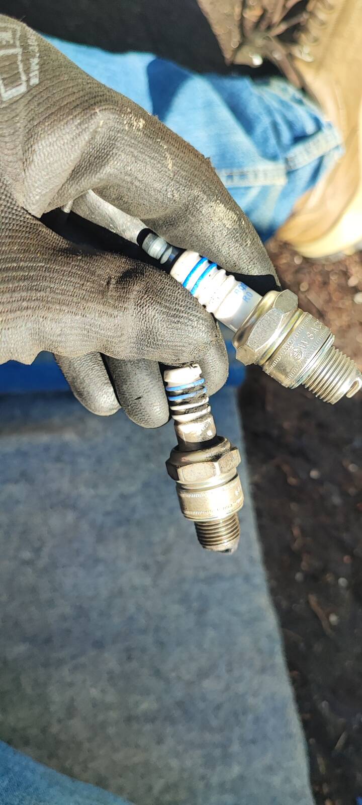 https://www1.garaget.org/gallery/images/38/37069/37069-38aadce45740f18cb2f92738a2db1acb.jpg