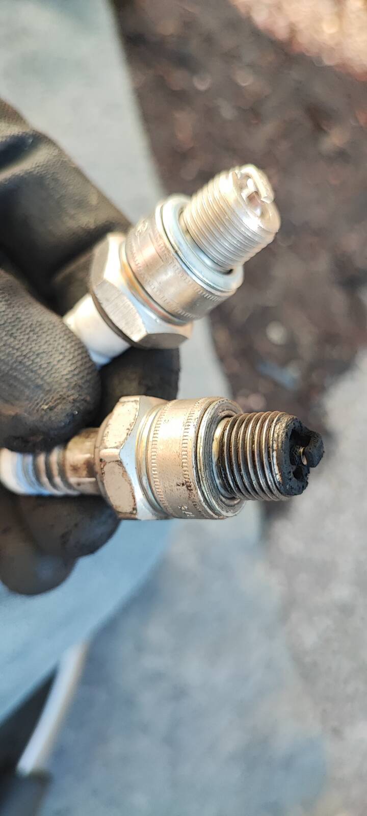 https://www1.garaget.org/gallery/images/38/37069/37069-39f54272d5517175aee1250f540850c9.jpg