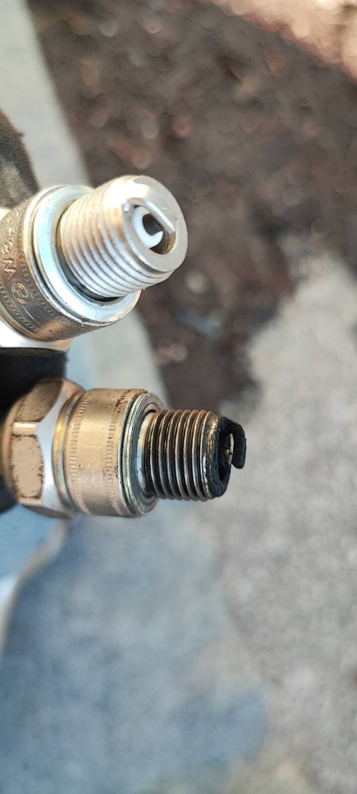 https://www1.garaget.org/gallery/images/38/37069/37069-be569a6a983cd0702d9701a1145ff798.jpg