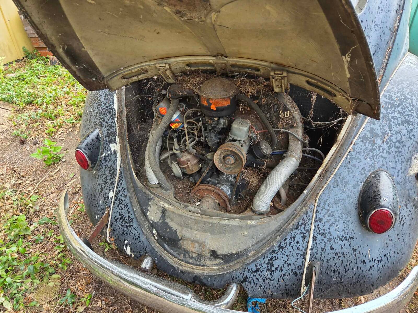 https://www1.garaget.org/gallery/images/38/37069/37069-c569e84697a1261efbf00f2fc232fa3c.jpg