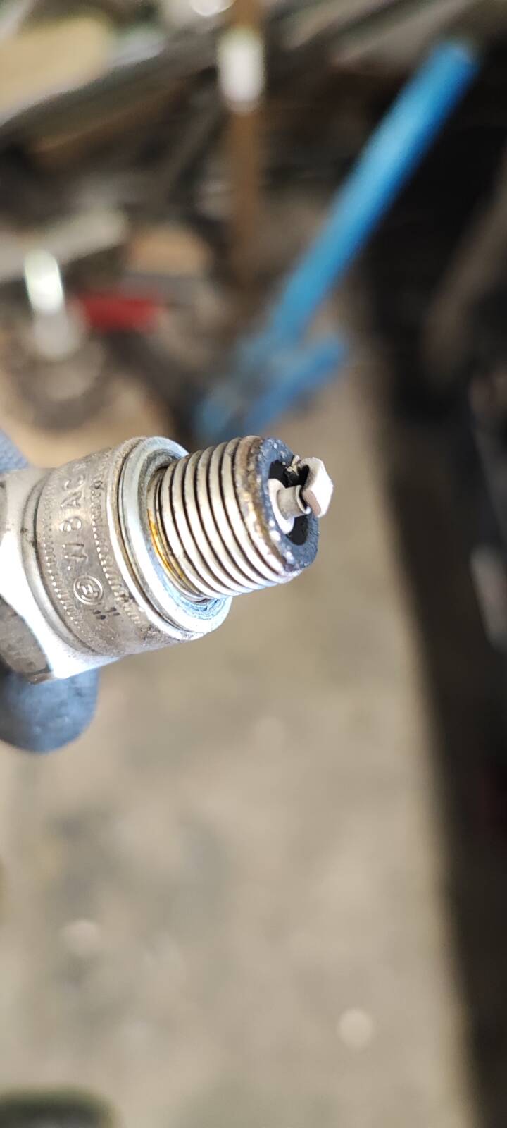 https://www1.garaget.org/gallery/images/38/37069/37069-cfe1a05e69318e26c6063dd67d438551.jpg