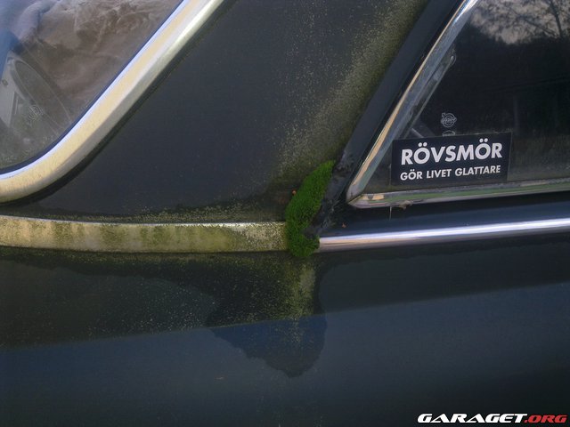 https://www1.garaget.org/gallery/images/45/44948/44948-8a99ae3f34815f41b2e4039ccaa65b69.jpg