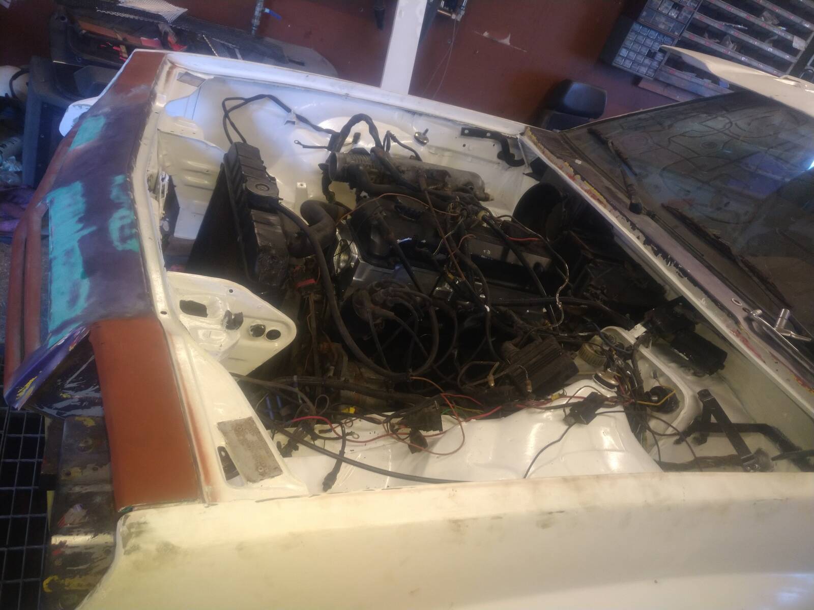 https://www1.garaget.org/gallery/images/49/48474/48474-8acd6e56dcbdf9bcc342b35a48fa4f6a.jpg