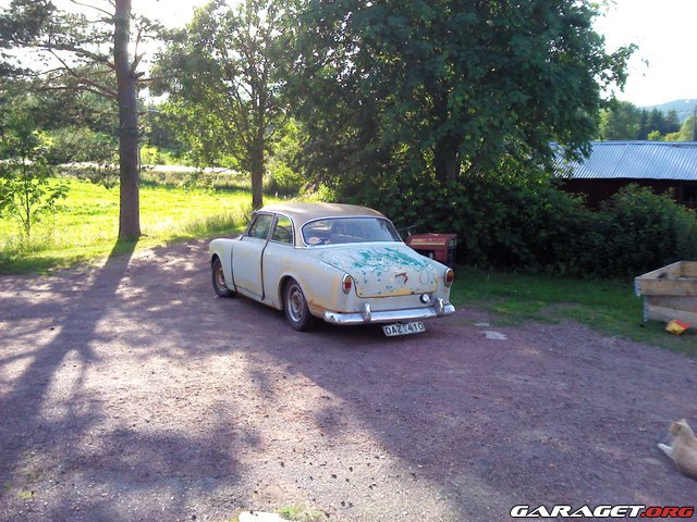 Bild