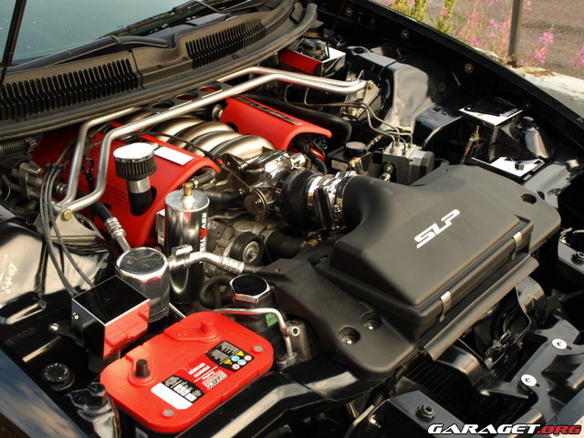 59564-db32b14cddd550267b8821ded19f8618.j