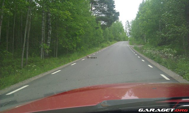 https://www1.garaget.org/gallery/images/88/87394/87394-2c81e168321995e9c07ad8d03784a92a.jpg